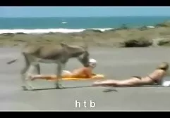 Reifes lateinamerikanisches Pornomodel fickt wild mit dicke alte nackte weiber einem Freund